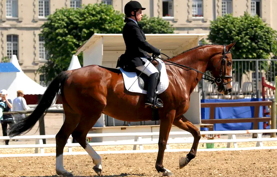 Marie Bufferne "A cheval sans Différence" Projet sportif et pédagogique