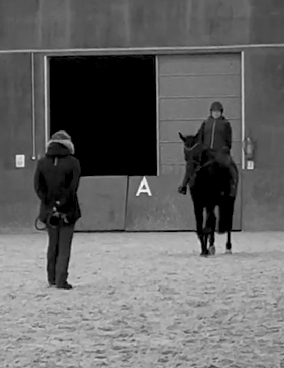 Entrainement para-dressage : Marie et Sally