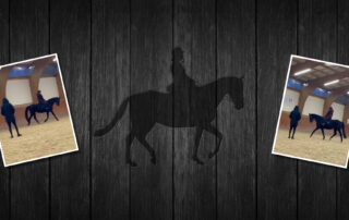 Bannière Satge para-dressage à Saumure avec Fanny DELAVAL et Sébastien GOYHENEIX.